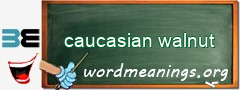 WordMeaning blackboard for caucasian walnut